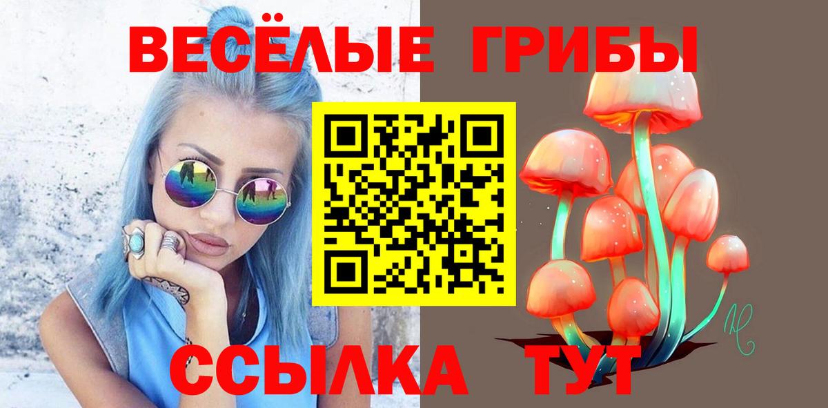 Псилоцибиновые грибы MAGIC MUSHROOMS Самара