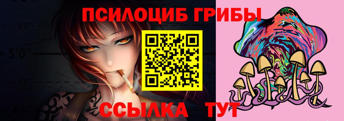 купить   Вход с VPN  Самара  Галлюциногенные грибы мухоморы  Псилоцибиновые грибы GOLDEN TEACHER 